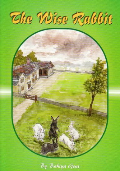 Picture of Wise Rabbit